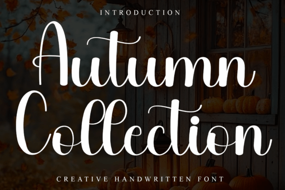 Autumn Collection Typeface: Boosting Campaign Clarity and Warmth